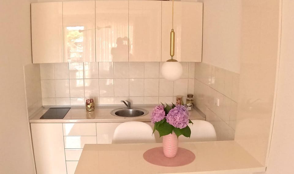 Apartman Nini Apartment in Serbia