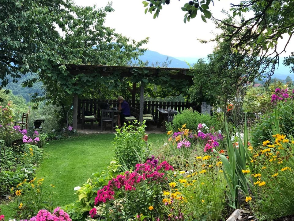 Garden, Garden