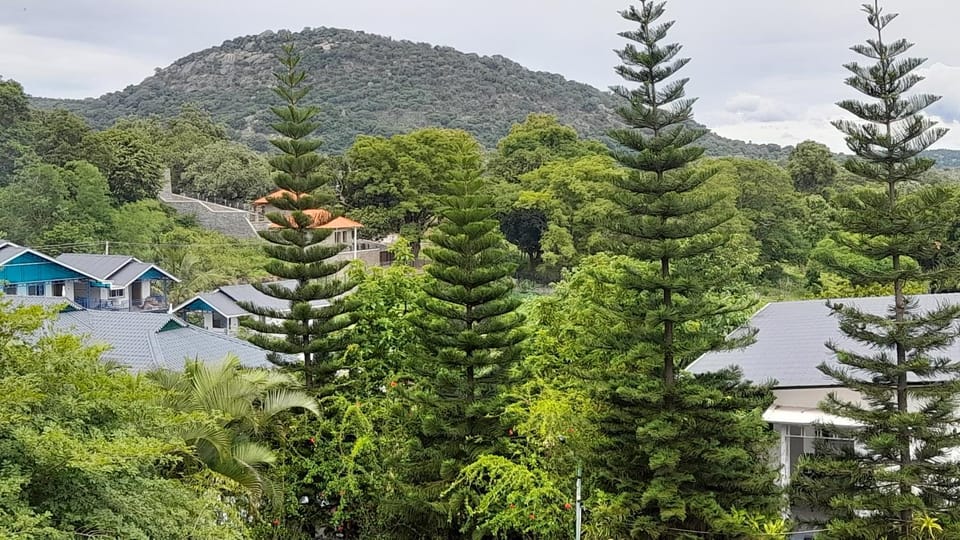 Property building, Mountain view