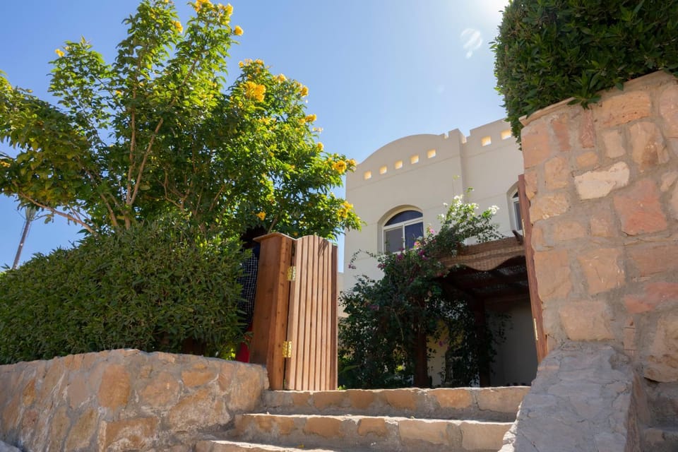 Property building, Day, Garden