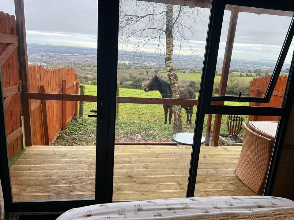 The Cabin in the Woods Cabin in Dublin