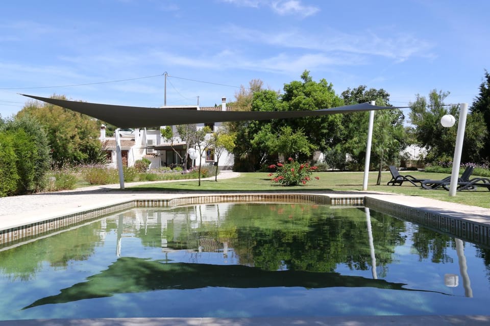 Property building, Day, Natural landscape, Garden, Garden view, Swimming pool