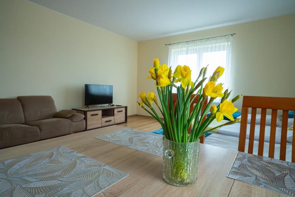 Noclegi Junior Wągrowiec Bed and Breakfast in Greater Poland Voivodeship