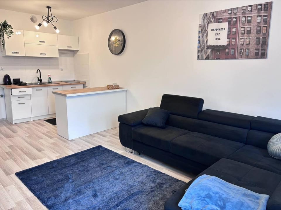 Kitchen or kitchenette, Living room, Seating area, Dining area, pet friendly, stove