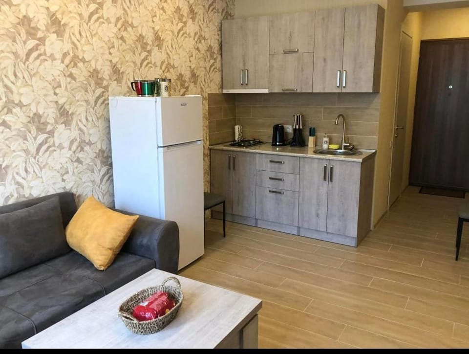 Bakuriani Park Recidence Apartment Apartment in Georgia
