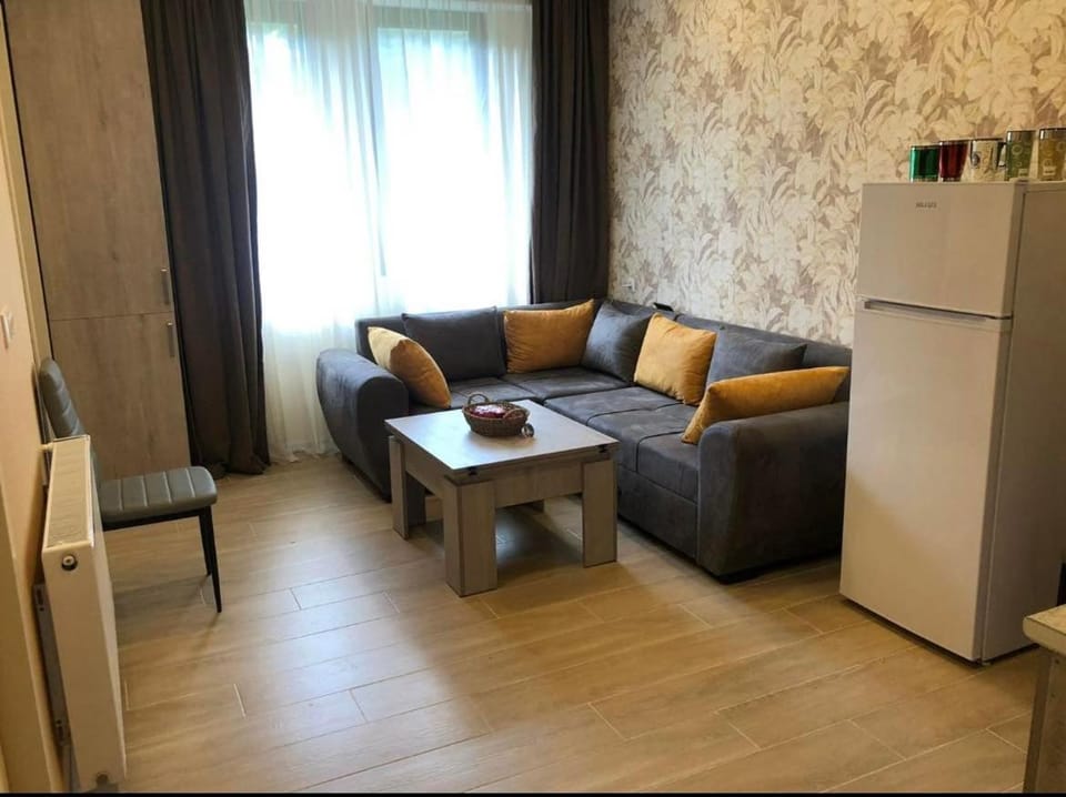 Bakuriani Park Recidence Apartment Apartment in Georgia