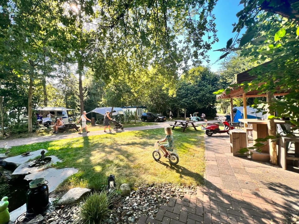Camping de Beerte Luxury tent in Drenthe (province)