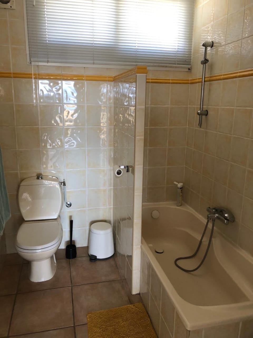 Toilet, Bathroom, Bath