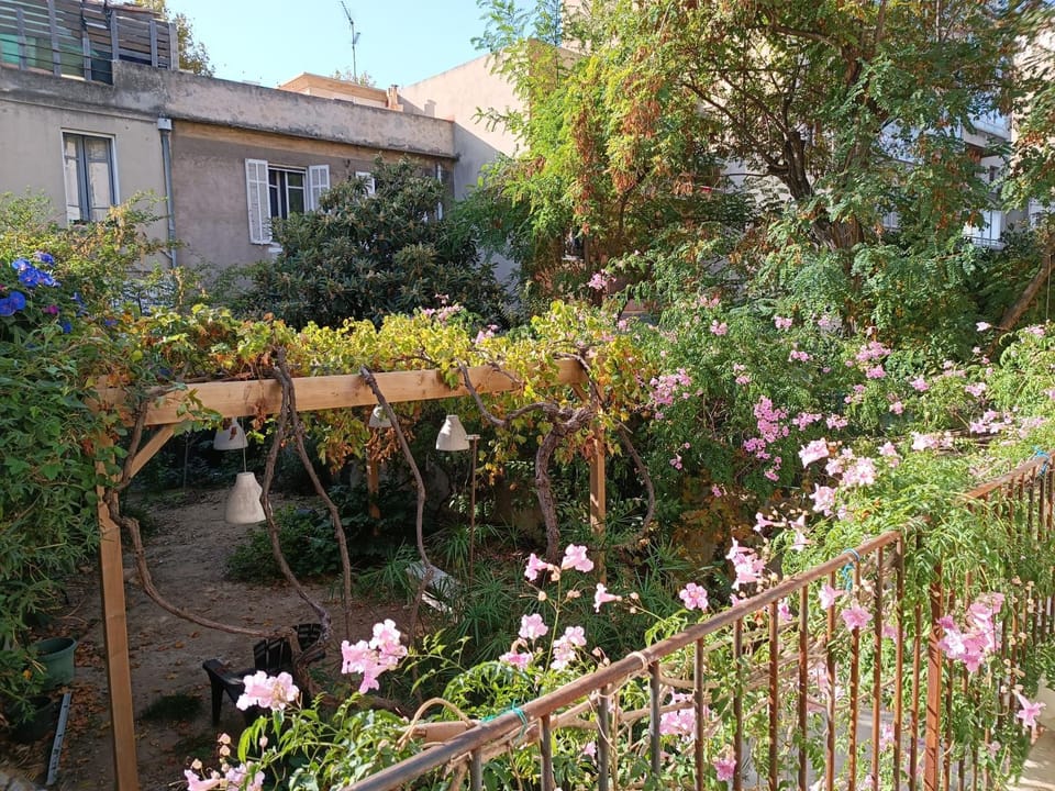 Garden, Garden view