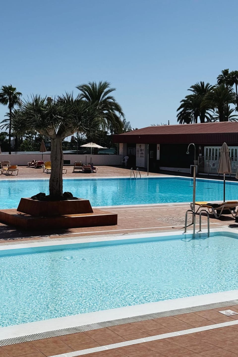 Swimming pool, sunbed