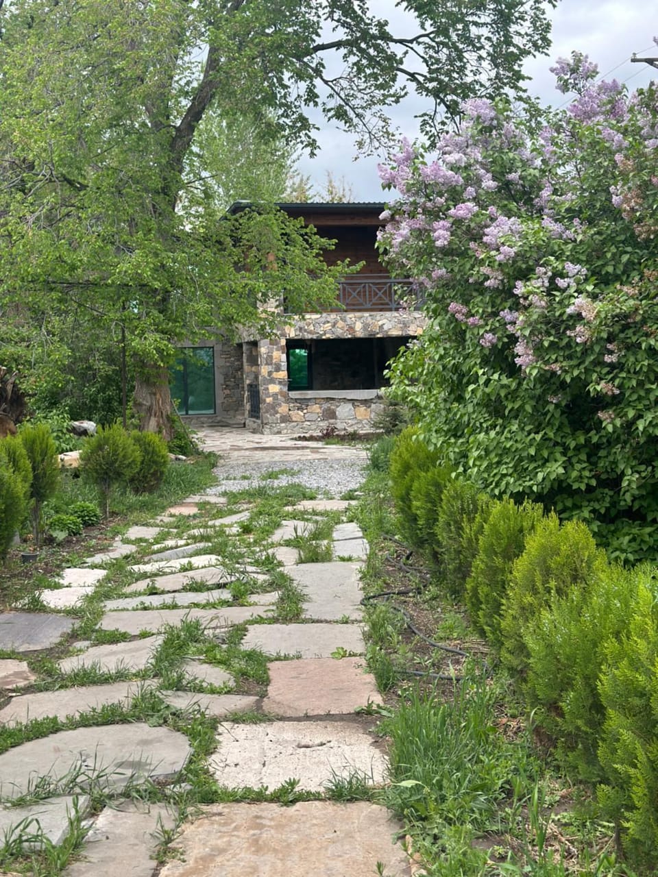 Garden view
