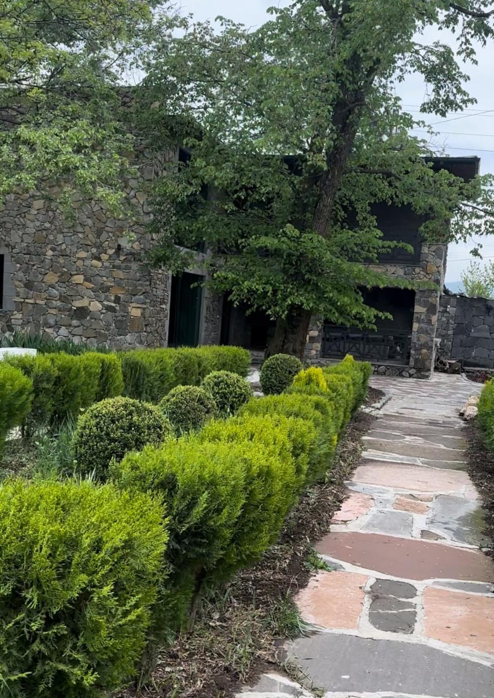 Garden view