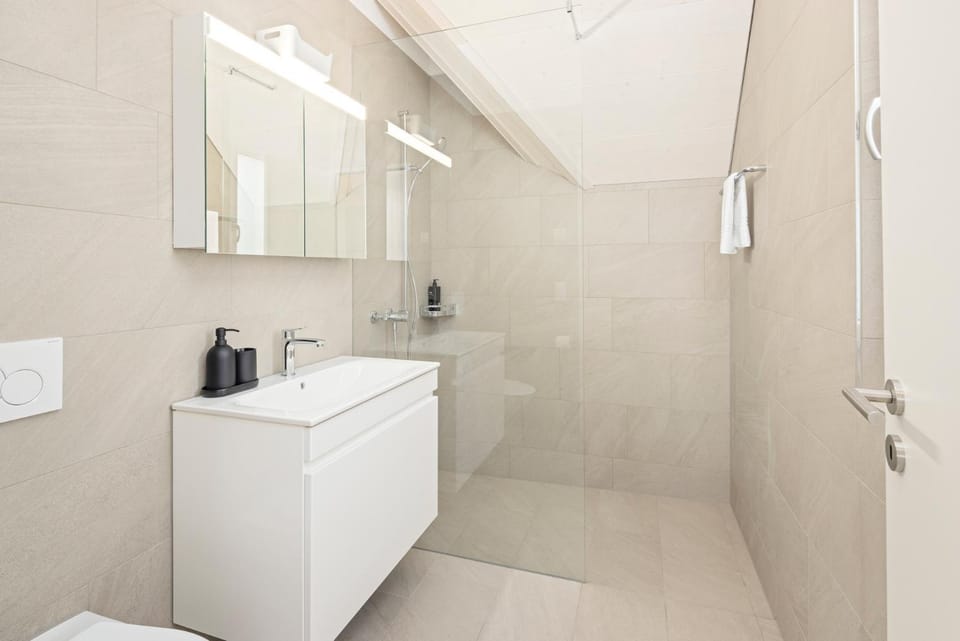 Shower, Bathroom, towels