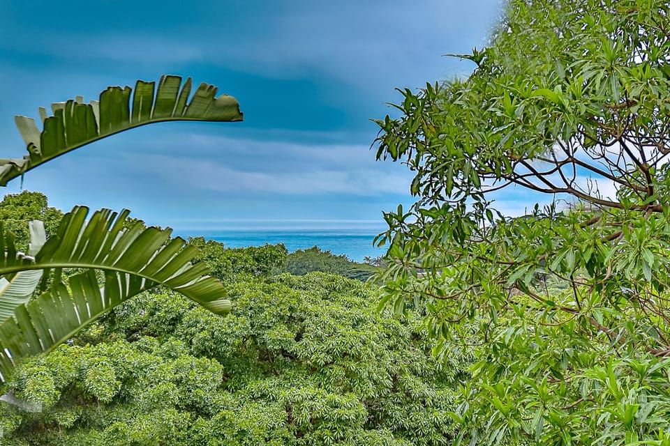 Spring, Day, Natural landscape, Garden, Garden view, Sea view