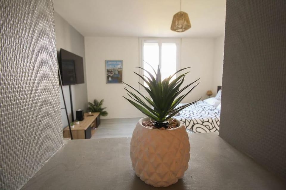 Le République Grand Studio Wi-Fi / Netflix Apartment in Angoulême