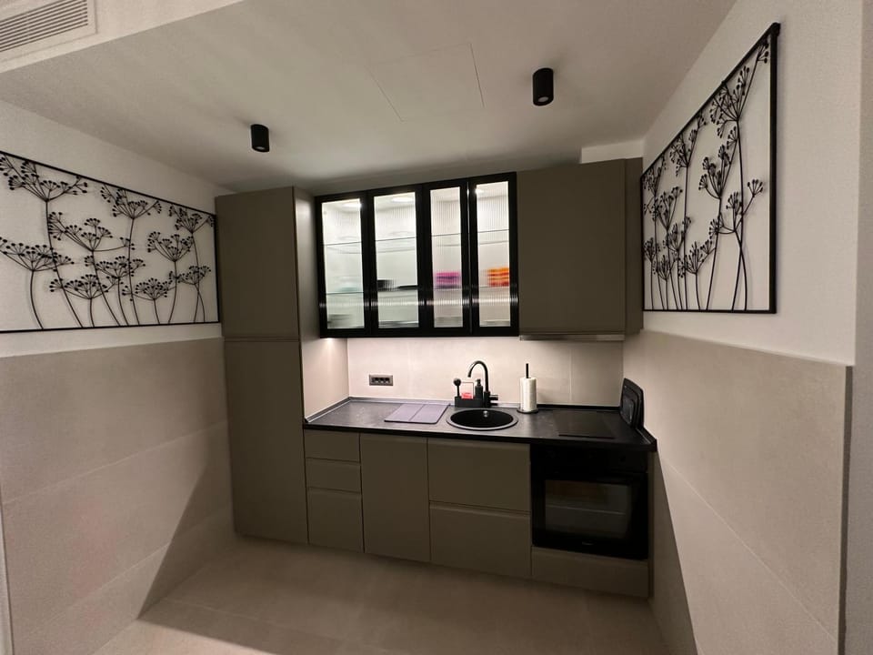 LL65 Apartments Novi Dorcol Apartment in Belgrade