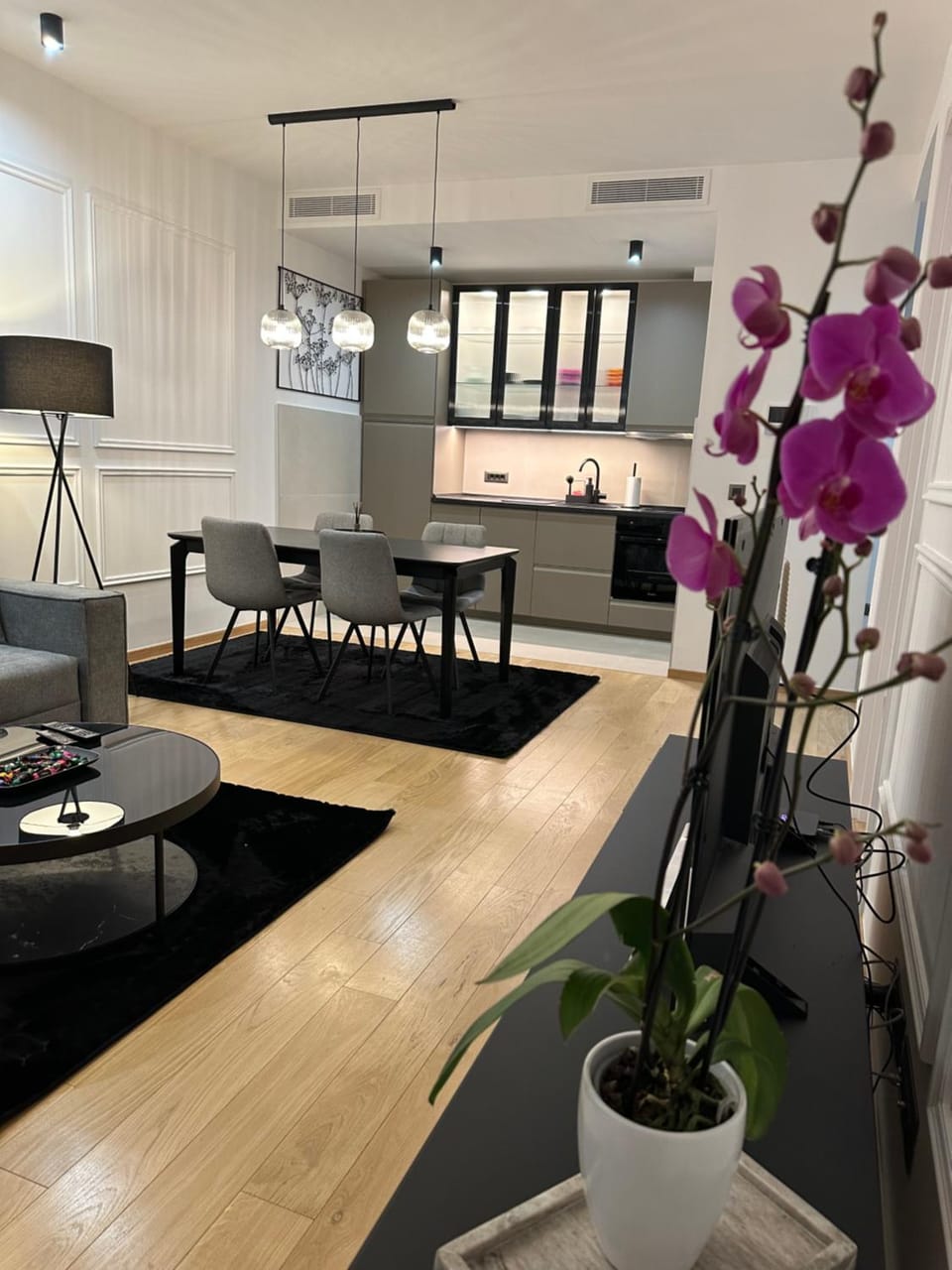 LL65 Apartments Novi Dorcol Apartment in Belgrade