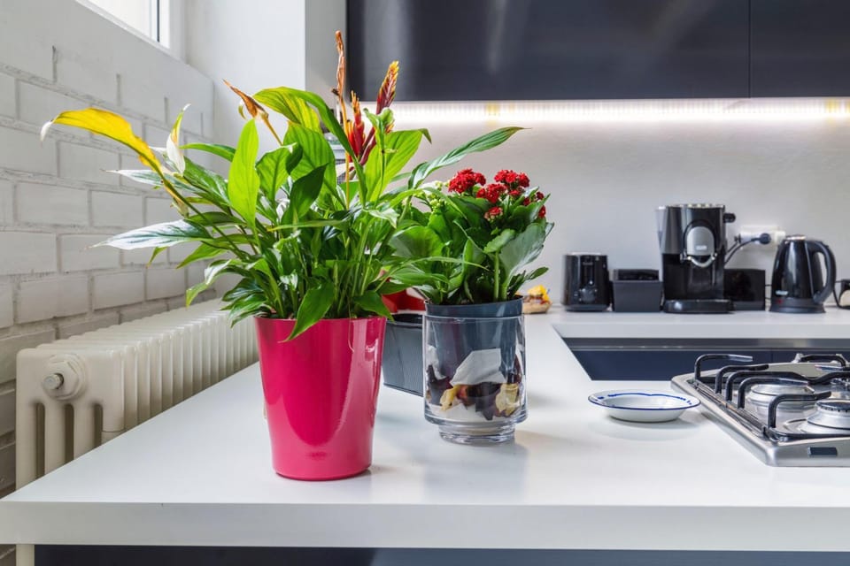 Coffee/tea facilities, Kitchen or kitchenette