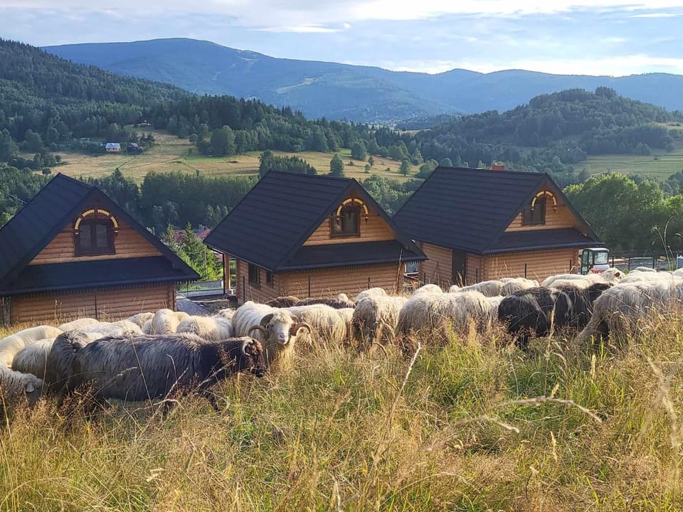 Natural landscape, Animals, Mountain view, pet friendly