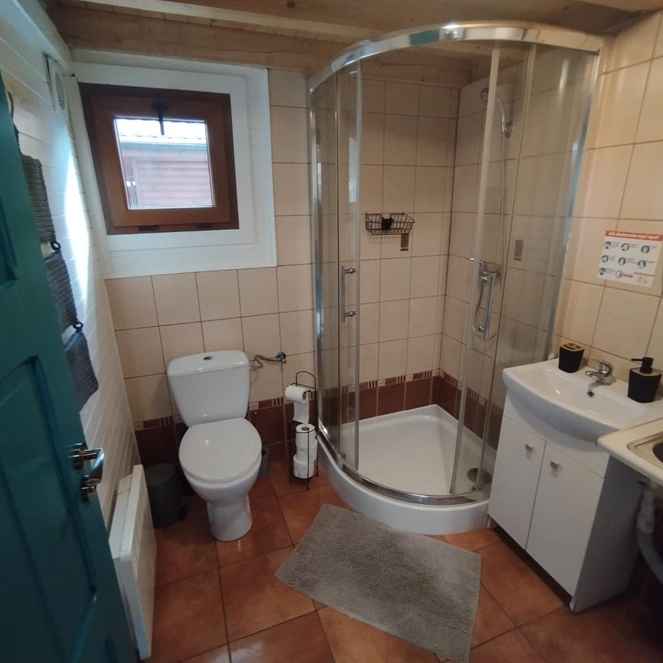 Shower, Toilet, Bathroom, bidet