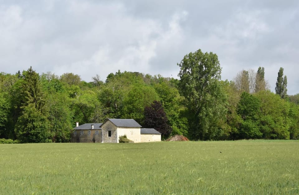 Natural landscape