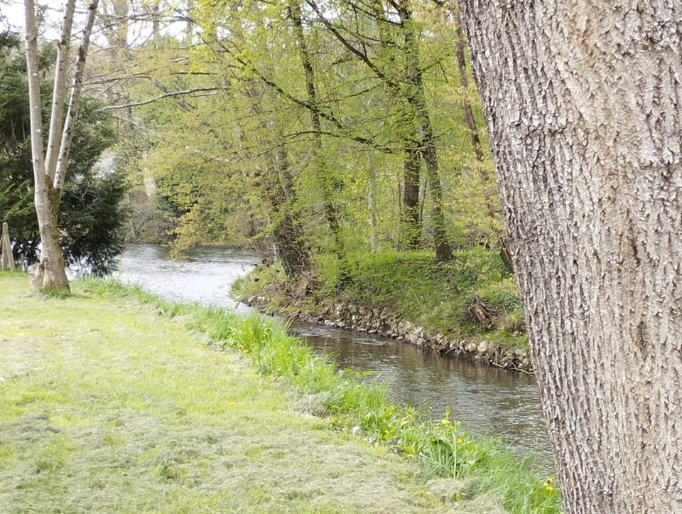 River view
