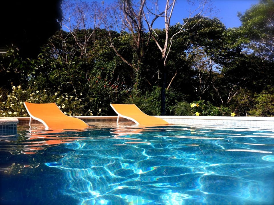 Swimming pool, Swimming pool