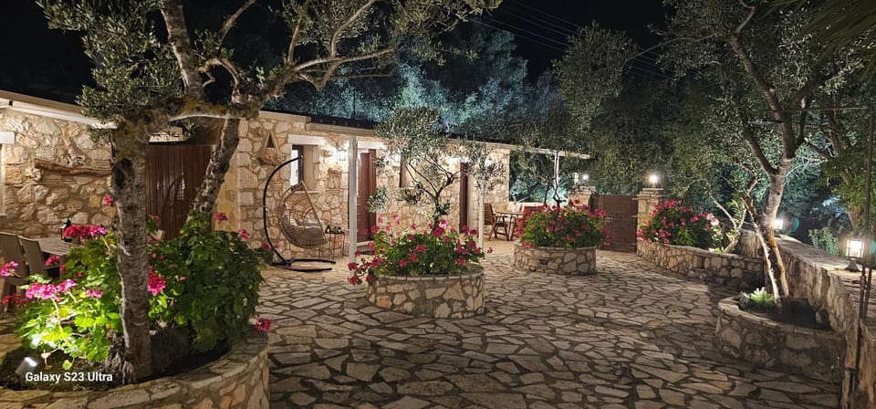 Spring, Night, Garden, Garden view