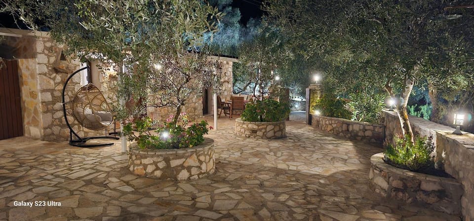 Night, Garden, Garden view