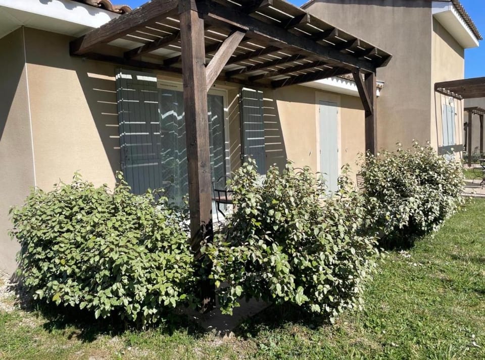 Property building, Spring, Day, Garden