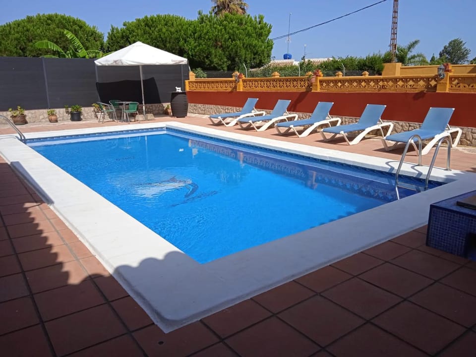 Pool view, Swimming pool, sunbed