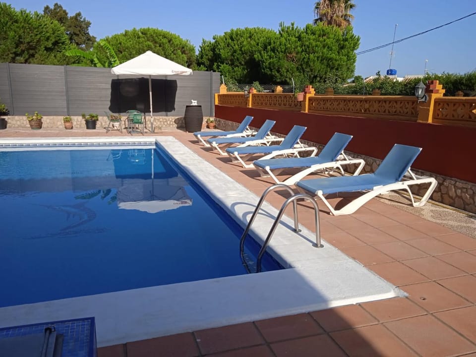 Pool view, Swimming pool, sunbed