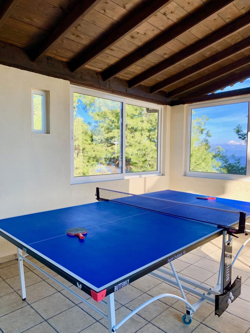 Patio, Patio, Natural landscape, Garden, Garden, Table tennis, View (from property/room), Sea view
