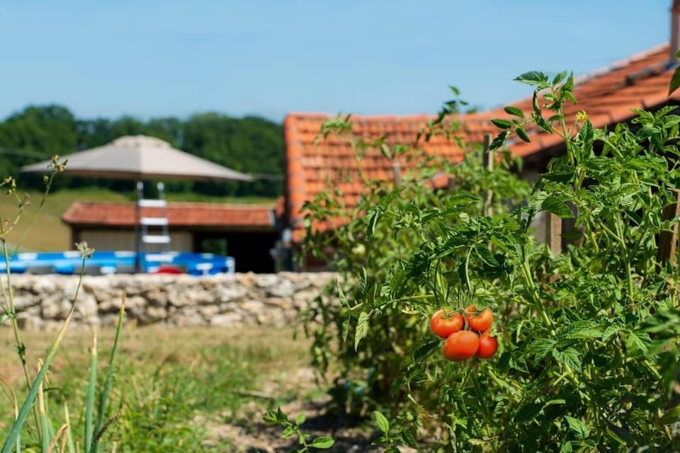 La grange de Rigounet House in Occitanie
