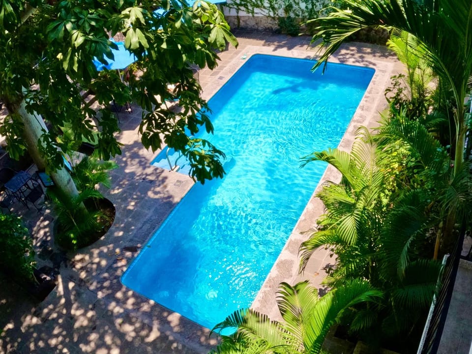 Pool view, Swimming pool