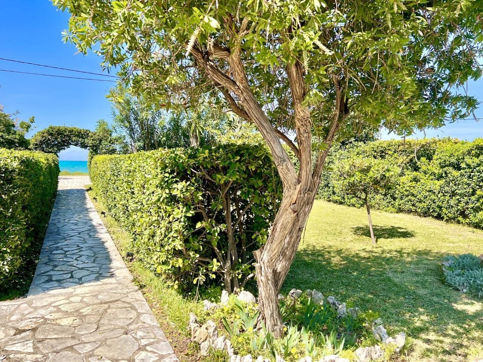 Other, Garden view