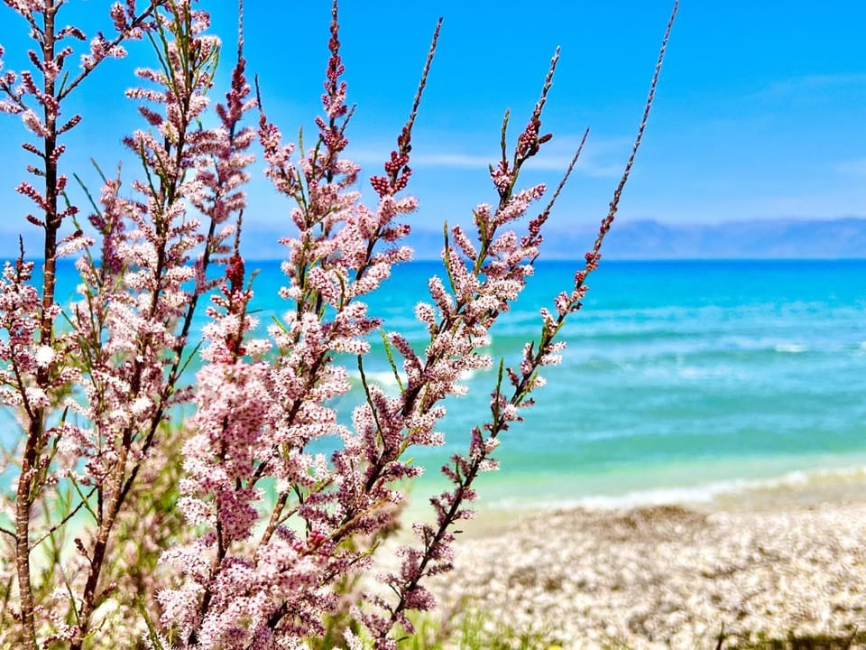 Other, Beach