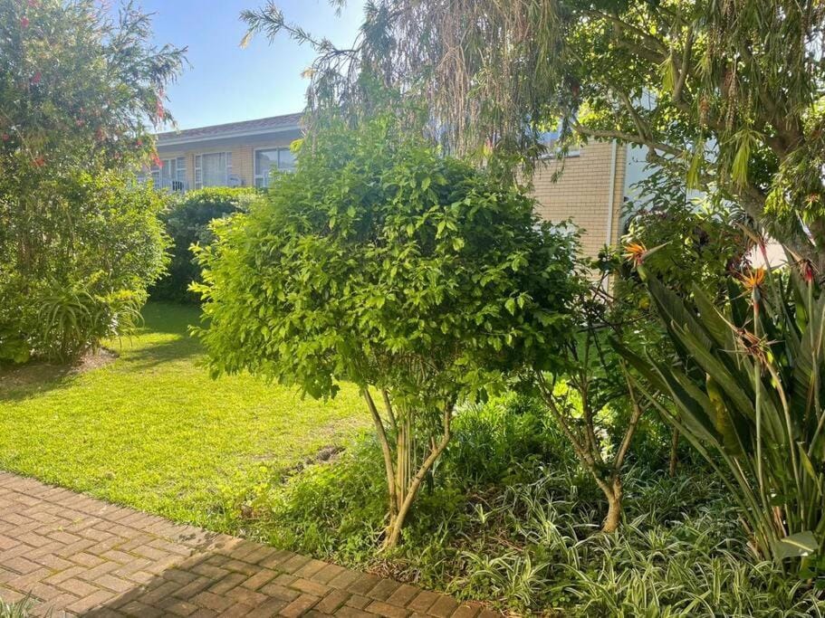 One Dolphin Apartment in Plettenberg Bay