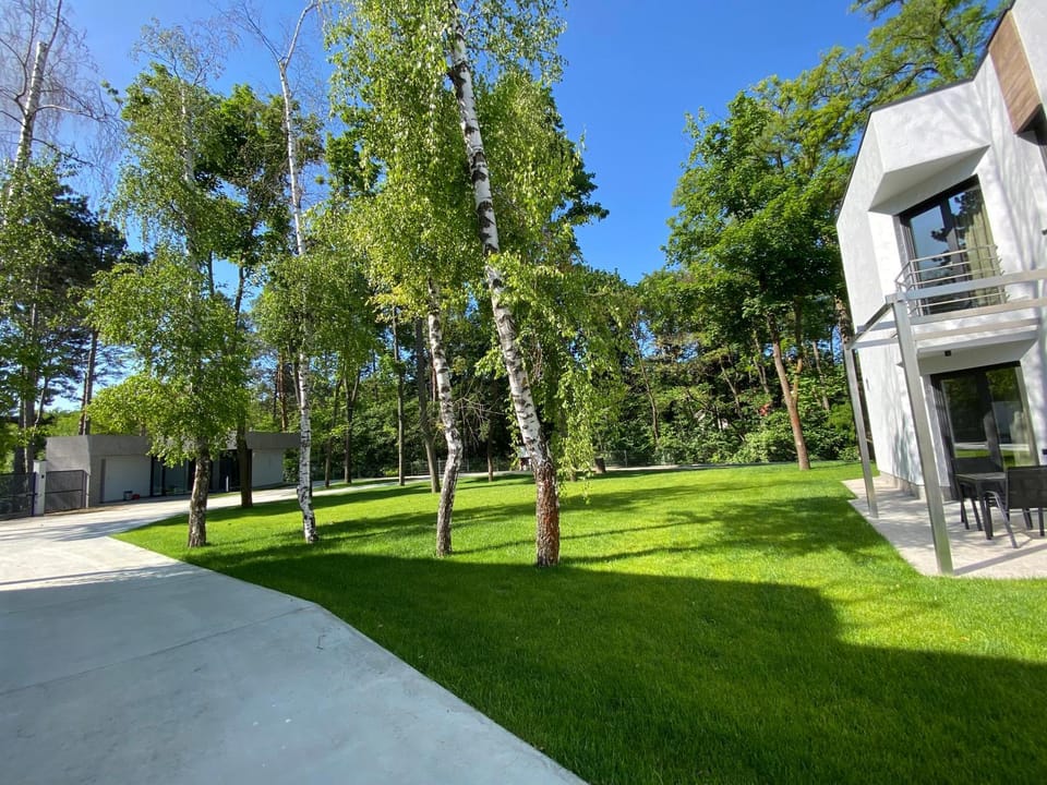 Day, Natural landscape, Garden, Garden view