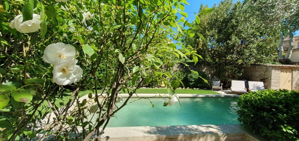 Garden, Garden, Swimming pool