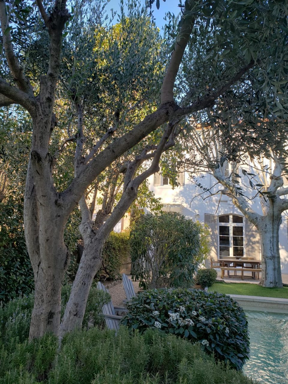 Natural landscape, Garden, Garden view, Garden view, Pool view, Pool view, Swimming pool, Swimming pool