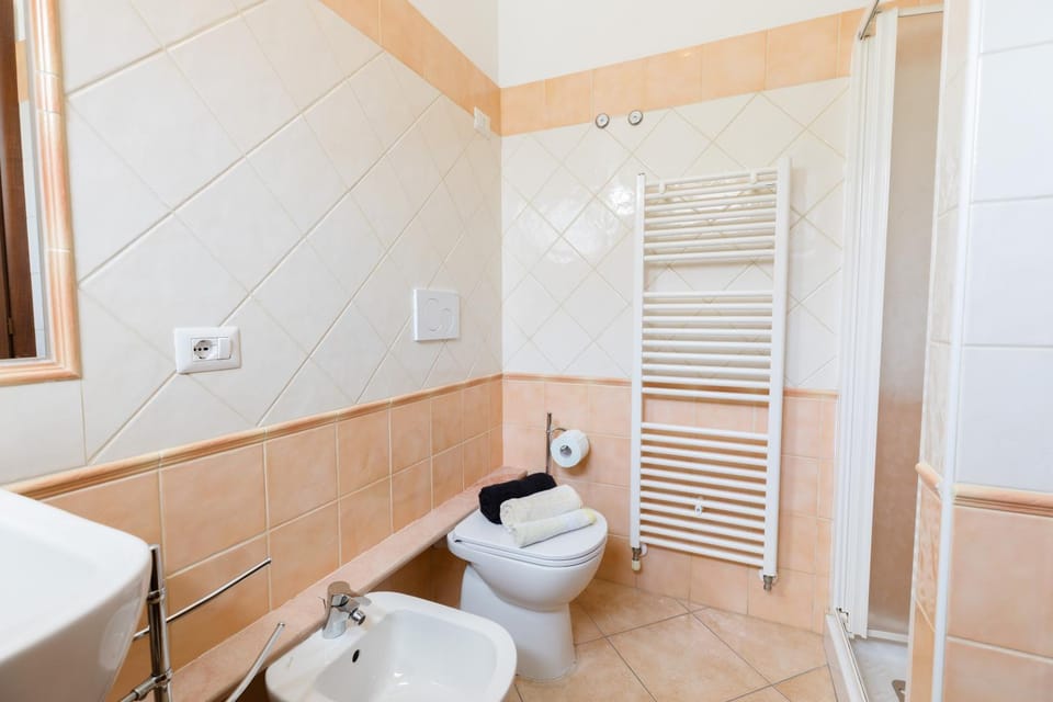 Shower, Toilet, Bathroom, bidet