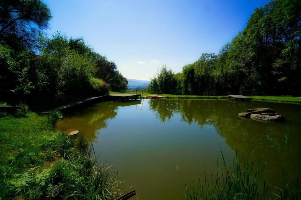 Natural landscape, Lake view