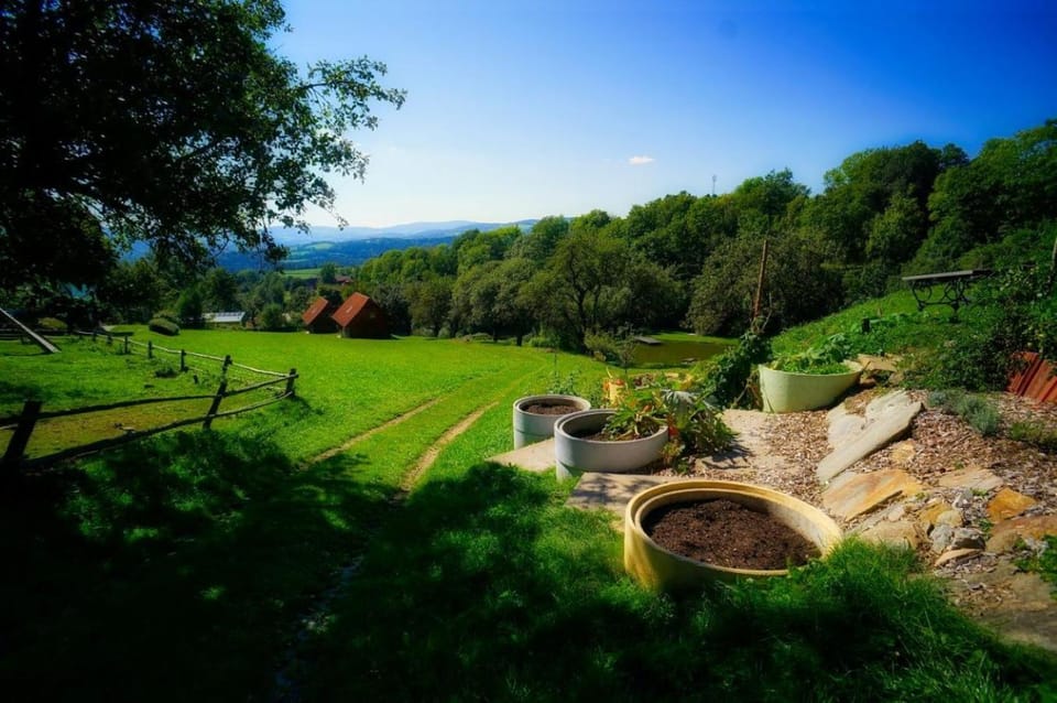 Natural landscape, Garden
