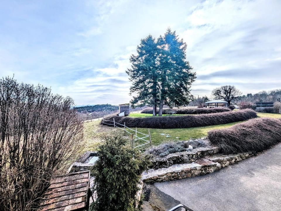 Natural landscape, Garden, Garden view