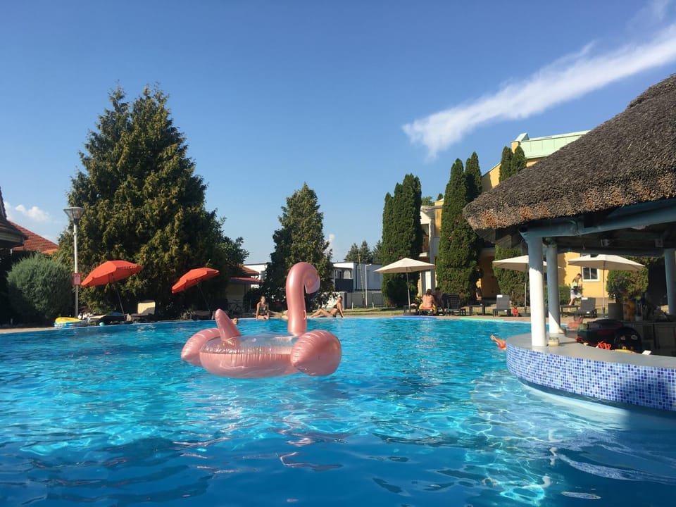 Day, Natural landscape, Pool view, Swimming pool, sunbed