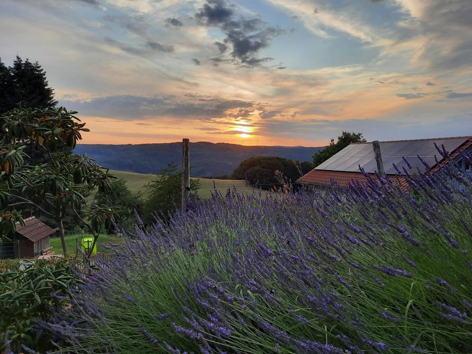 Natural landscape, View (from property/room), Mountain view, Sunset