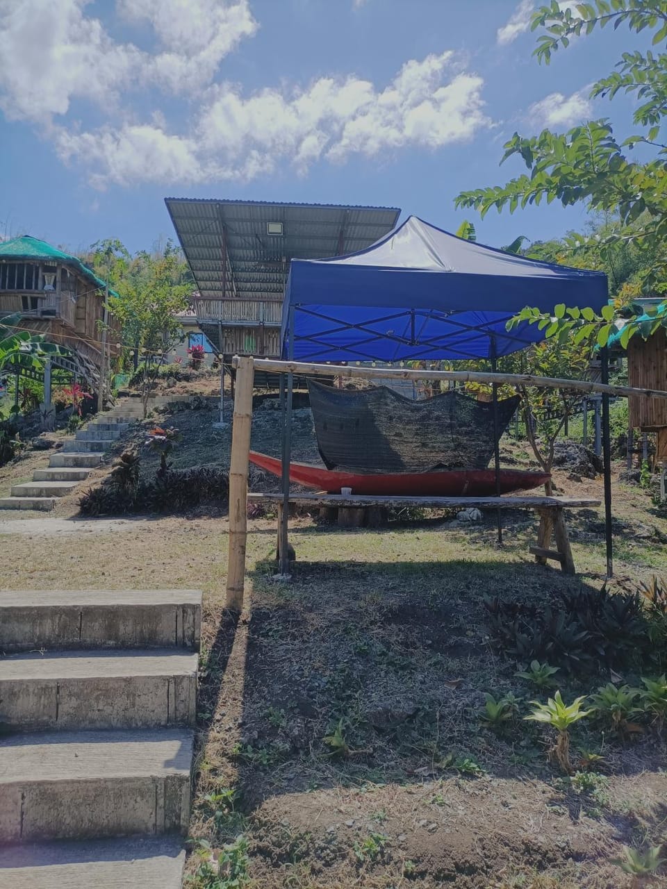 Garden view
