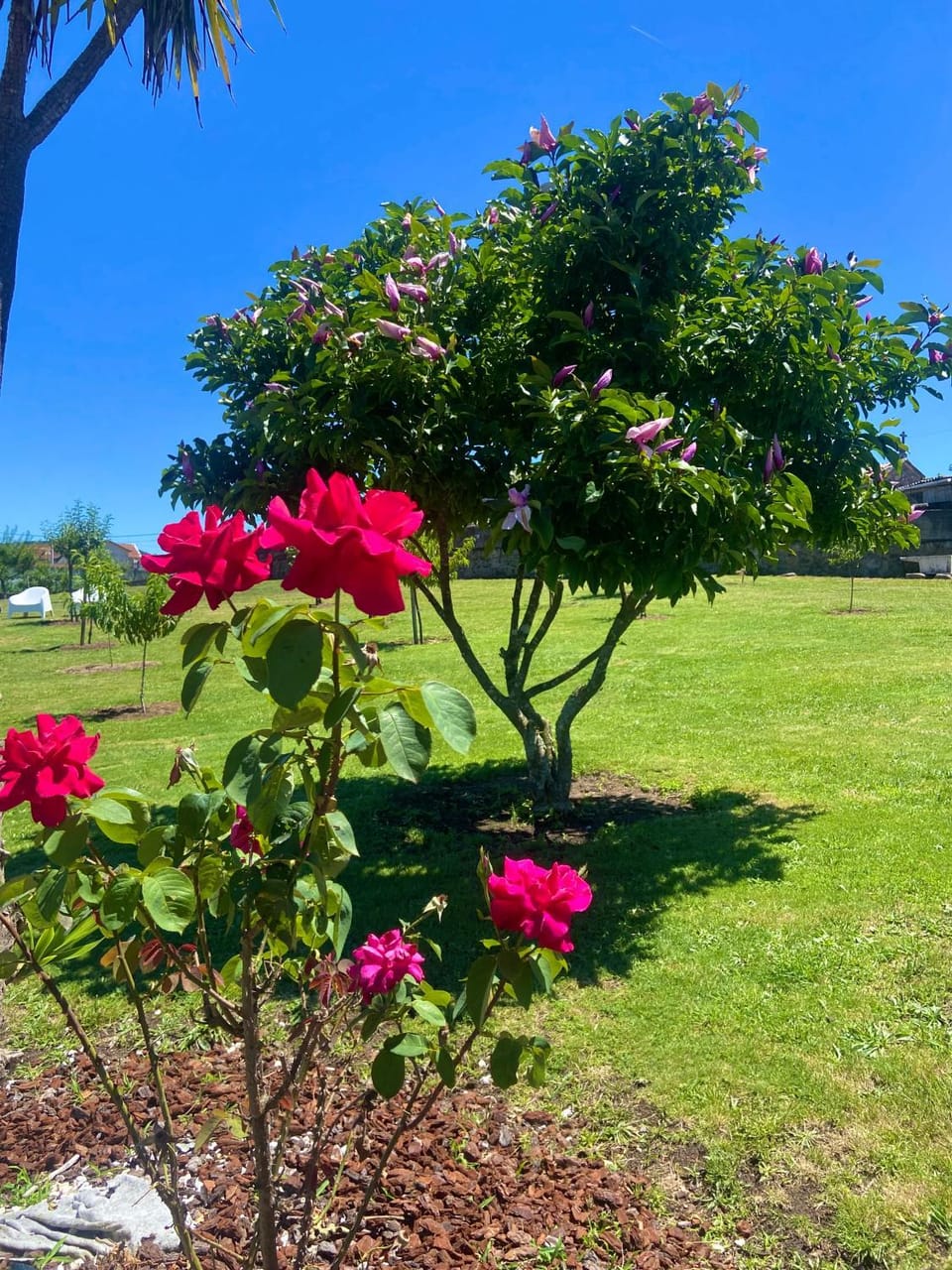 O Eido da Barreira House in Galicia
