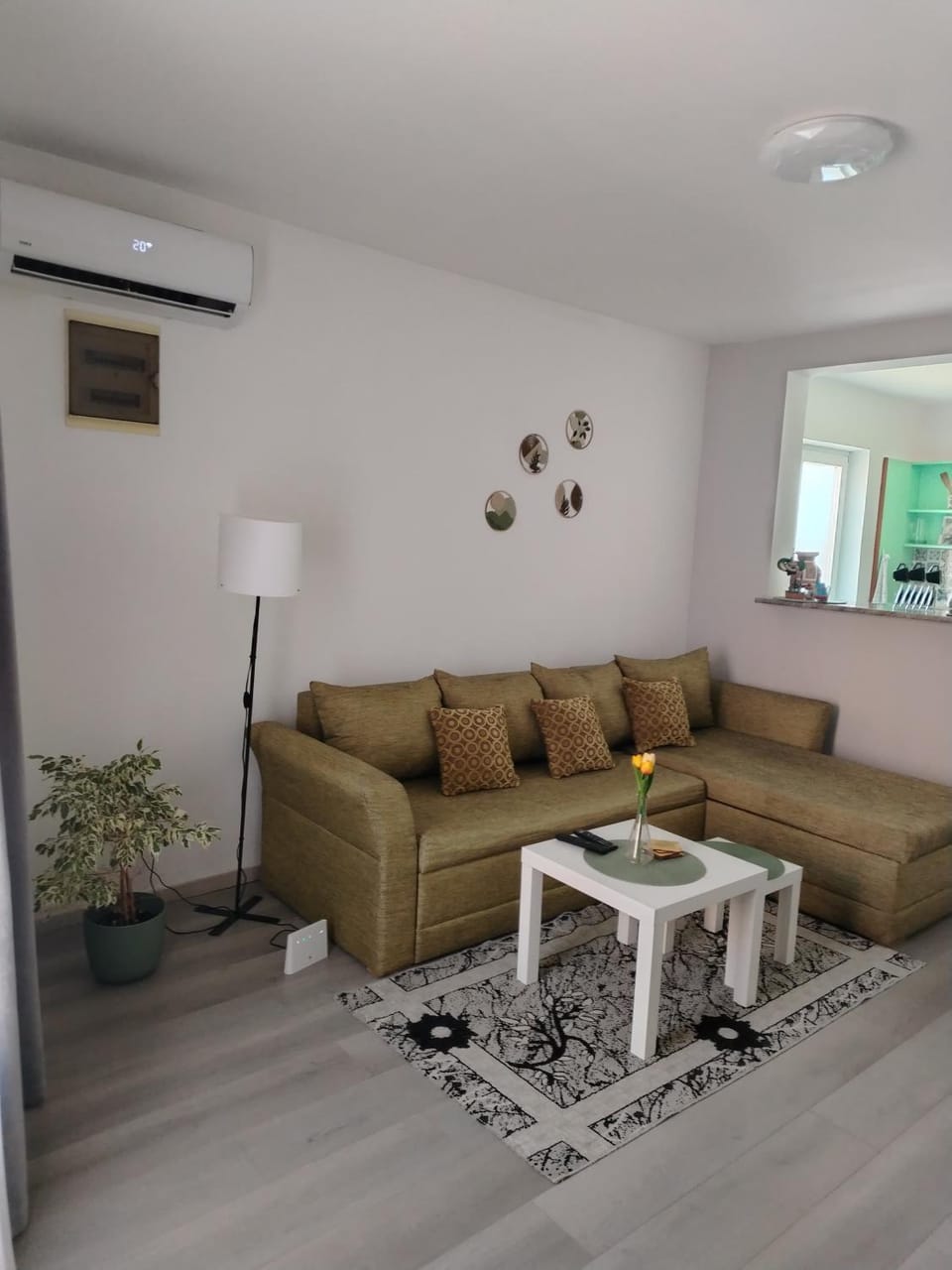 Passage Apartment in Serbia